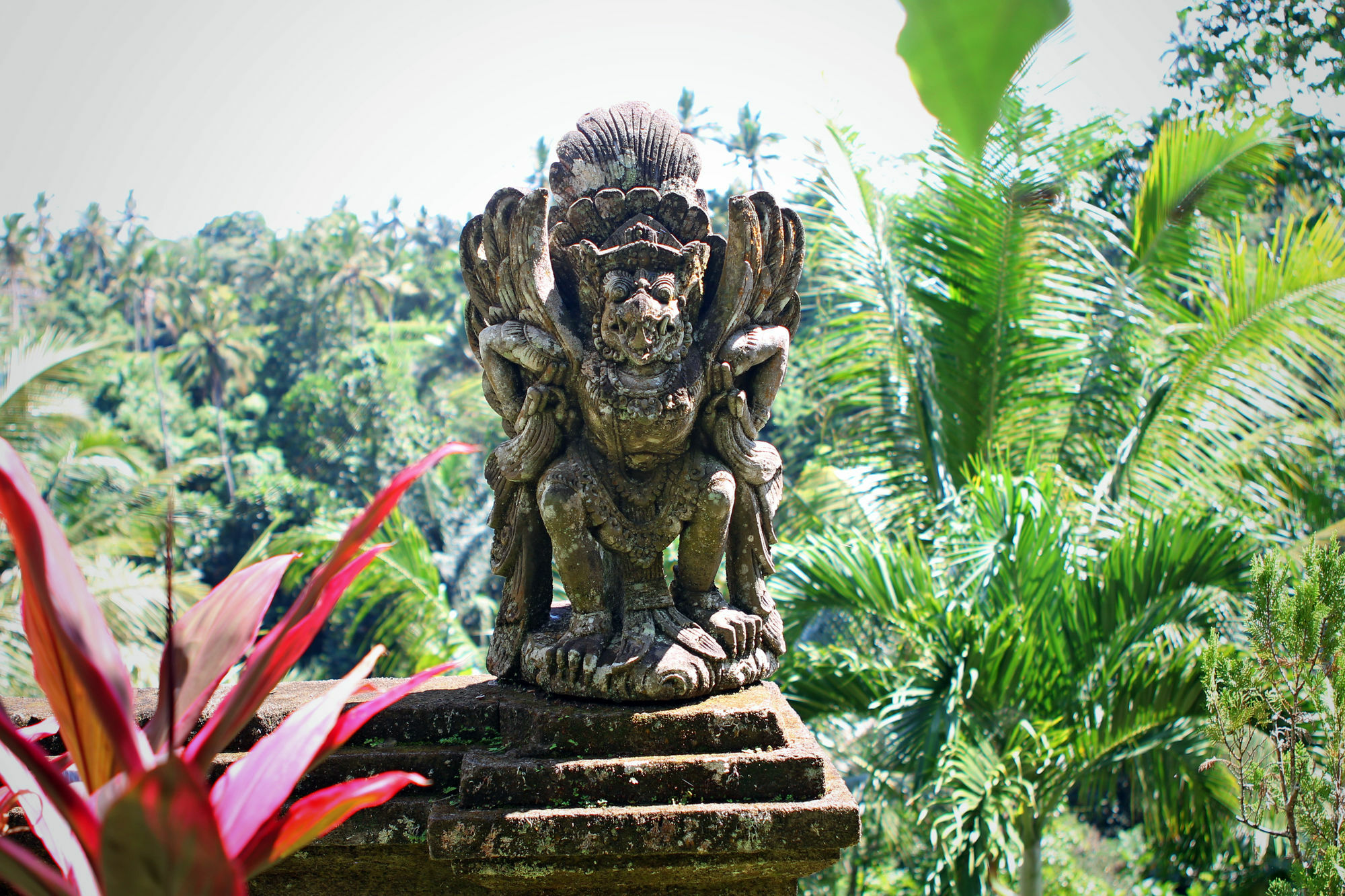 The Mahogany Villa Ubud Tegallalang (Bali) Exterior foto